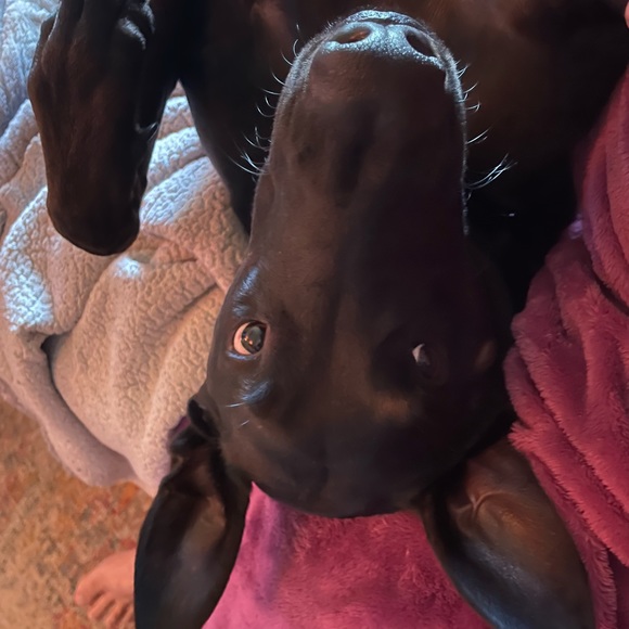 Meet your Posher, Angela - Picture 10 of 12